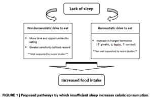 Sleep_Homeostatic_drive