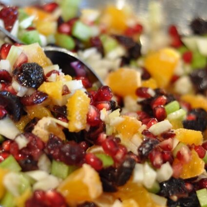 14Pomegranate_SalsaDSC_2148