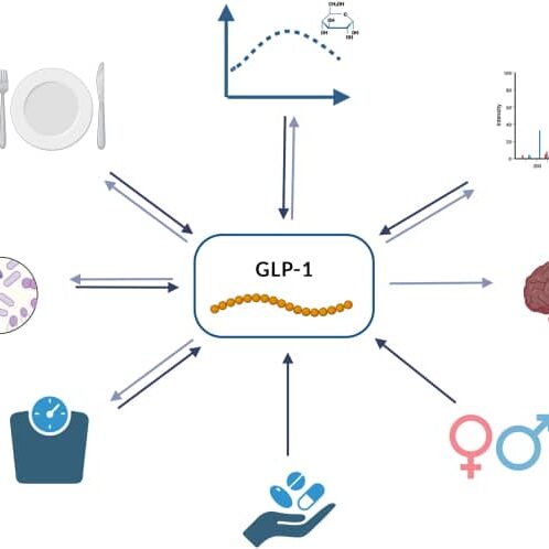 Factors that influence GLP1 naturally